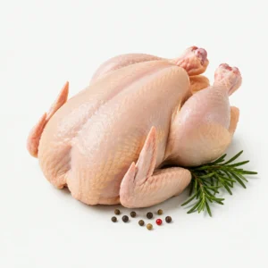 دواجن